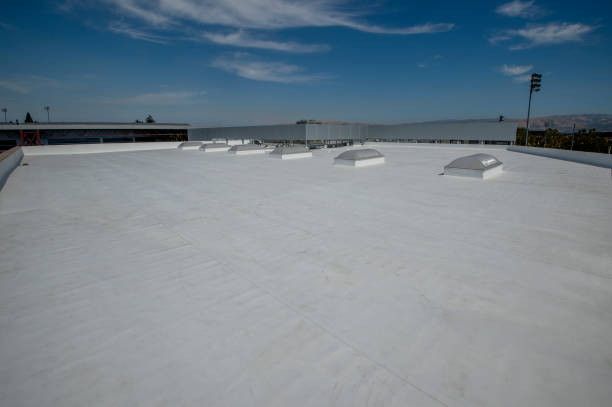 Best Roof Maintenance and Cleaning  in South Williamsport, PA