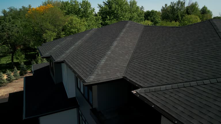 Best Sheet Metal Roofing  in South Williamsport, PA